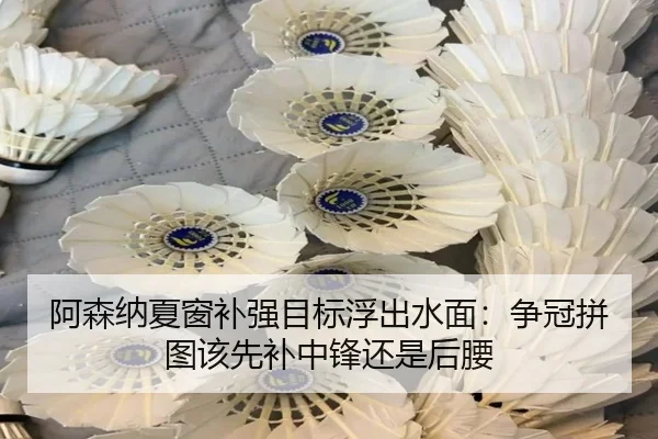 阿森纳夏窗补强目标浮出水面：争冠拼图该先补中锋还是后腰